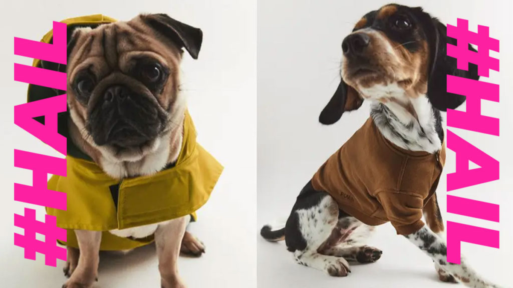 Zara launches a cuter than cute pet collection