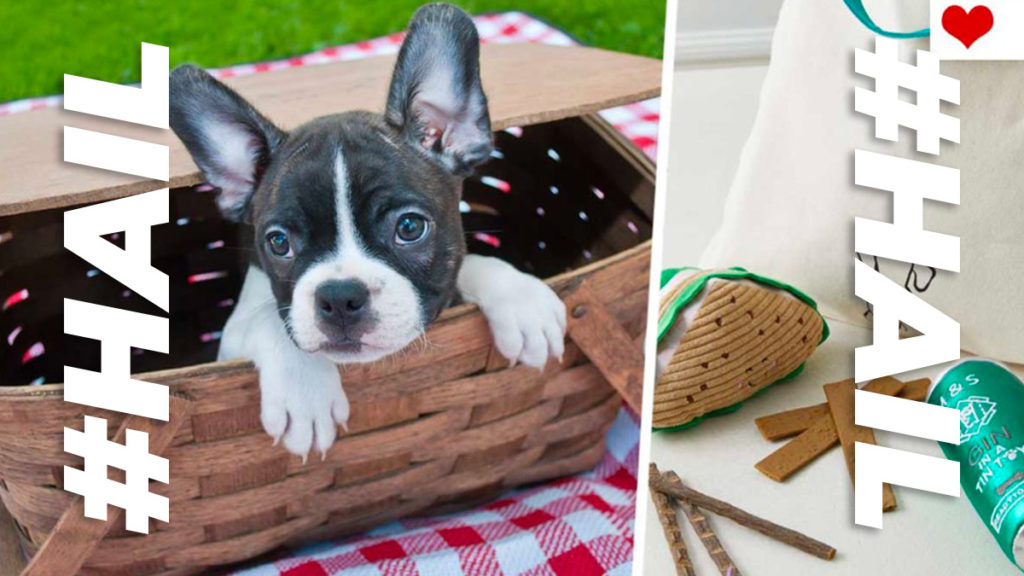 M&S launch a picnic for your dog