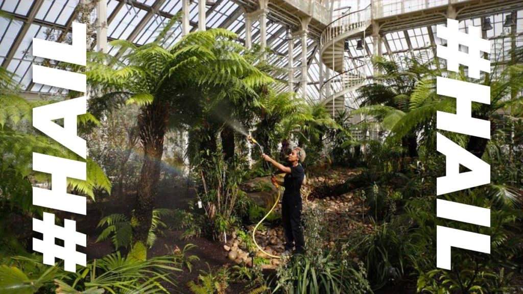 Royal Botanic Gardens breaks record for largest plant collection