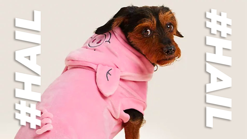 M&S introduces a Percy Pig outfit for your dog