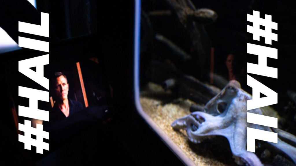 SEA LIFE Centre reveals an Octopus which has a James Bond obsession
