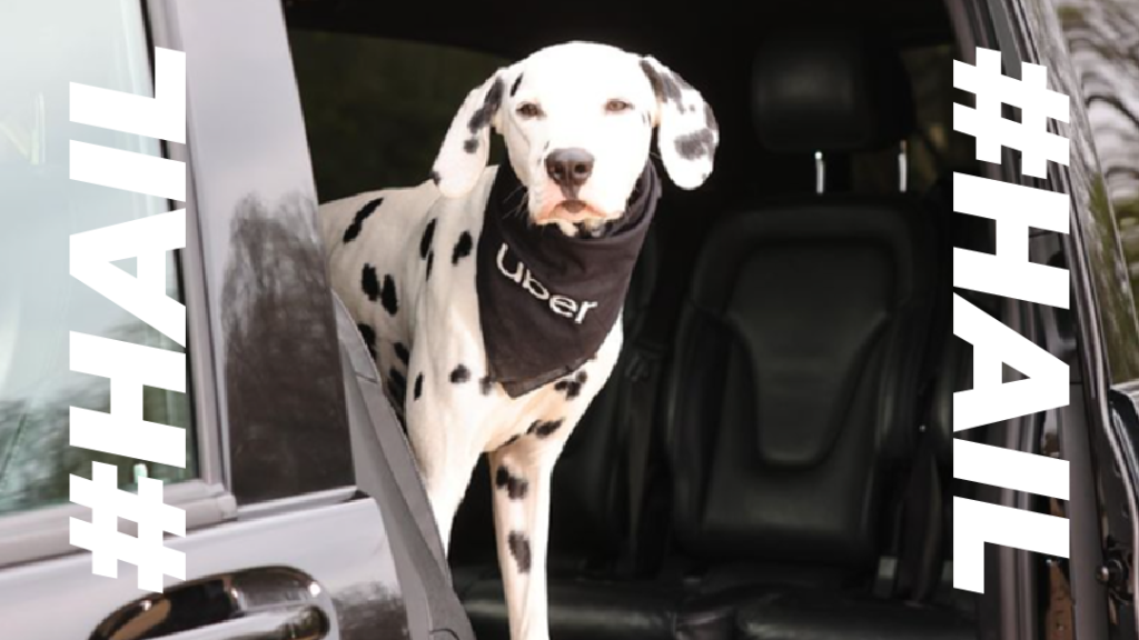 Uber for pets is here