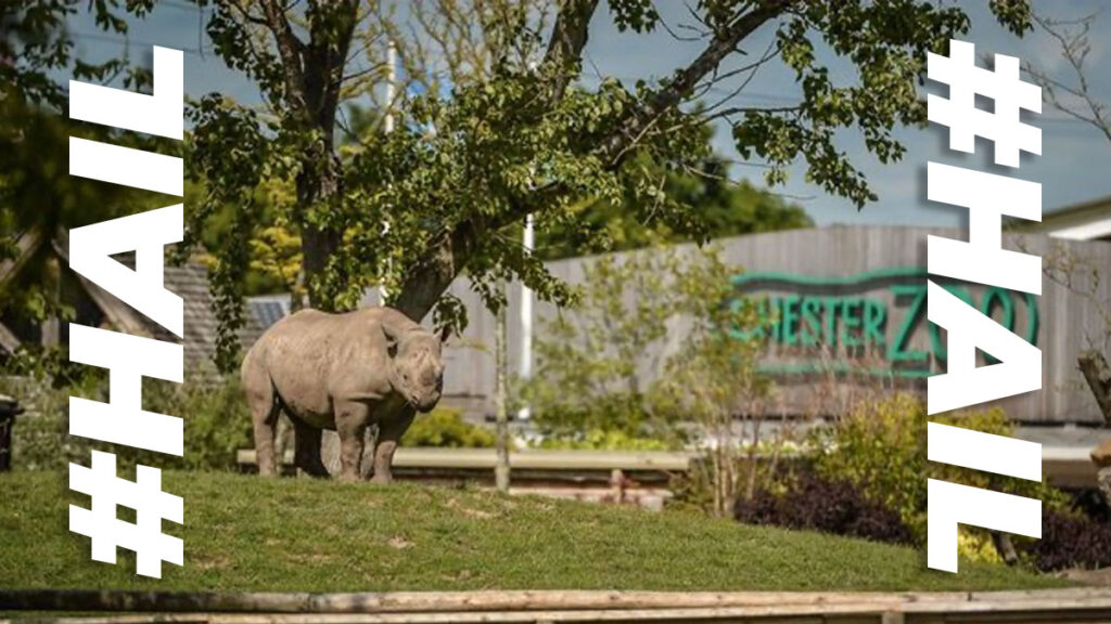 Chester Zoo gives free tickets during teacher strike
