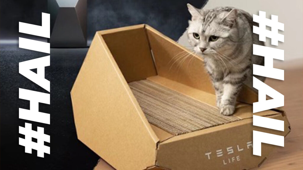 Tesla purr-fection for cats