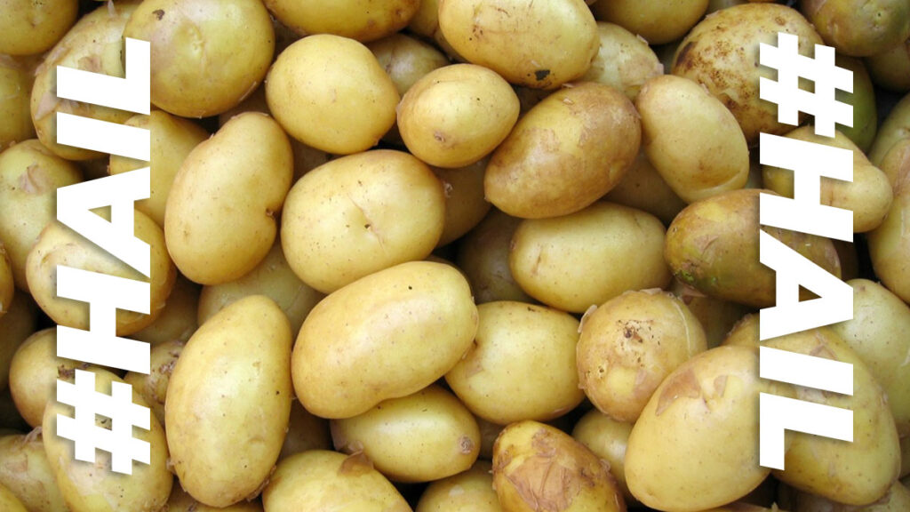 Introducing this year’s superfood….potatoes!