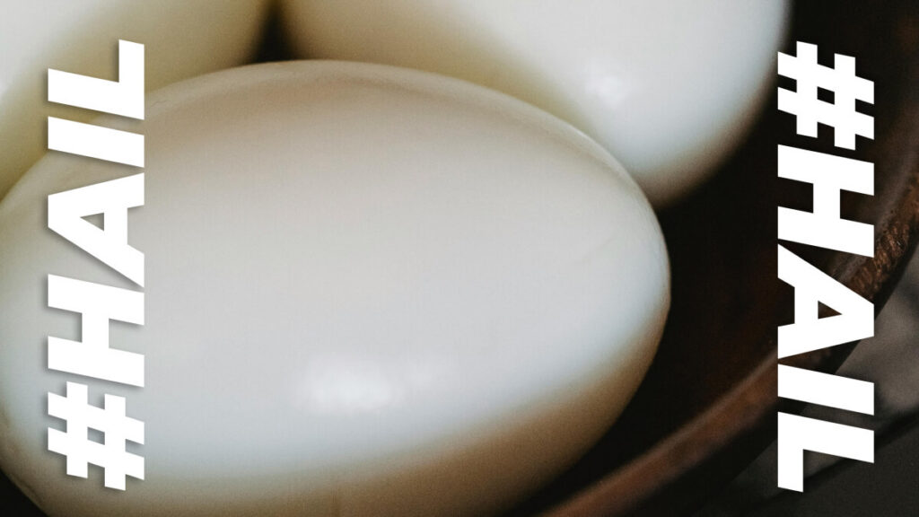 Tesco’s giant egg fools (almost) everyone